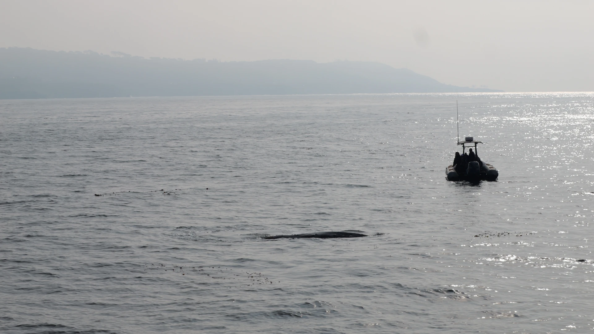 Photo of a large body of water with a boat in the distance. It's near enough to hear the people but far enough away that you can't tell what they're saying.